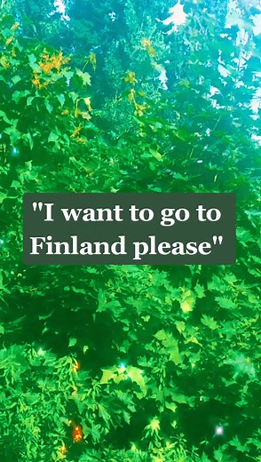 I love Finland on Reels