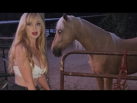 Dainty Rascal Horses Night Check and Update at Heart of Gold Sanctuary