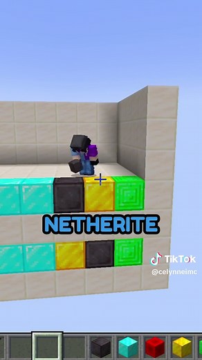 Adivina el Color Largo en Minecraft