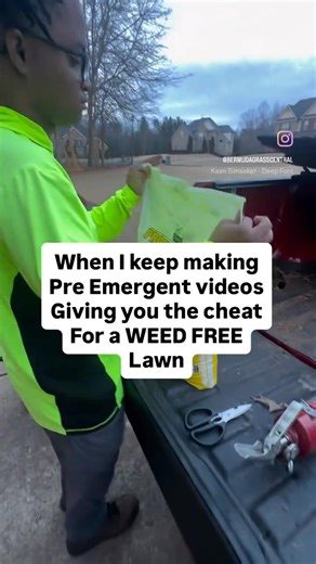 Cheat Code for Weed Free lawn right in your face.