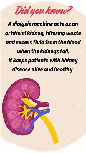Dialysis: The Artificial Kidney Explained