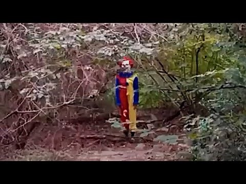 6 Most Disturbing Forest Encounters Caught on Camera