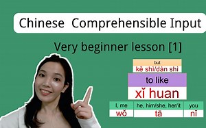 Chinese Comprehensible input. Beginner Chinese lesson.【1】