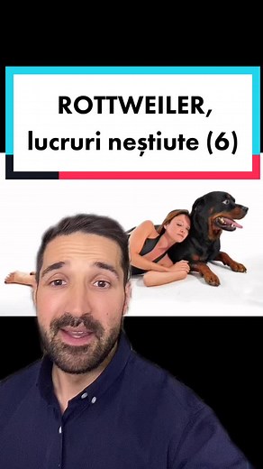 #rottweiler #dogs #dogtraining #tudorestischimbarea TikTok