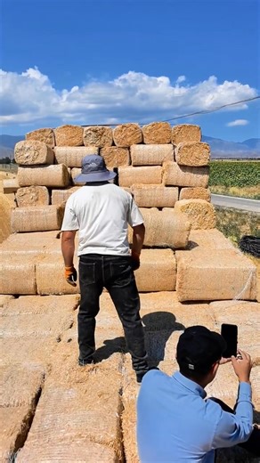 3.1K views · 19 reactions | Harvesting #grass in #Xinjiang's pastures is lovely. Trucks loaded with hay look like living oil paintings. It’s such a nice sight that makes the #work feel easy . #Nature | Discover Xinjiang | Facebook