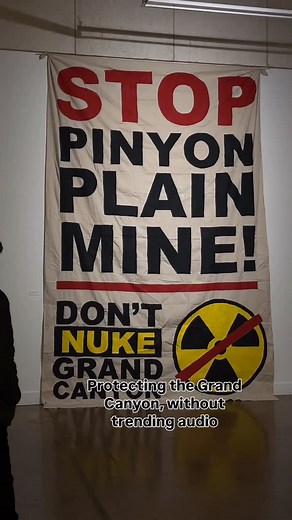 Wild Arizona on Reels | Facebook