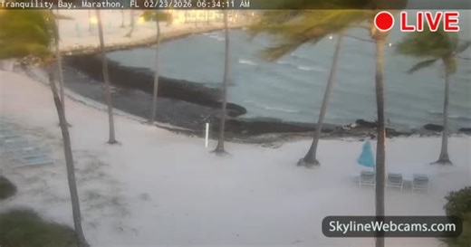 【LIVE】 Webcam Marathon - Tranquility Bay | SkylineWebcams