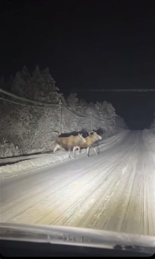 Exploring the Wild West: Adventures Await