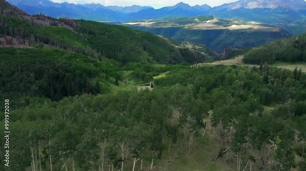 Summer Uncompahgre Forest Aspen Trees groveTelluride Colorado aerial drone Last Dollar Road airport ski resort Lizard Head Wilson Peak landscape vista San Juan Rocky Mountains Range forward pan up