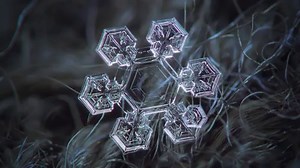 Still buried under #Snowzilla? Well, sip some hot chocolate and learn how snowflakes are formed. For those elsewhere, enjoy a video about stuff you don't have to shovel! | Reactions