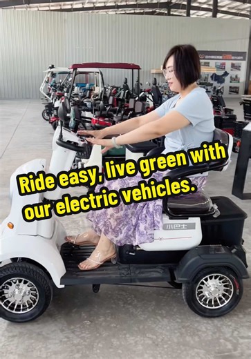 Explore Affordable Electric Vehicles for Seniors