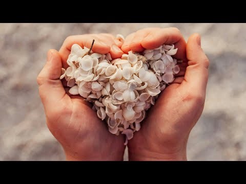 Heavensville - Clothed in Compassion