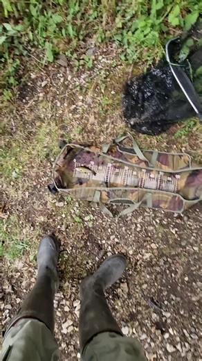 Perch Fishing Techniques: Small Fish, Big Fight