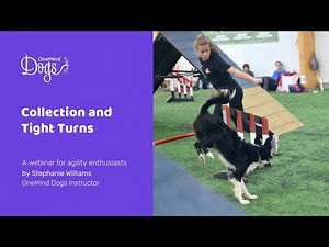FREE Dog Agility Webinar: Collection and Tight Turns