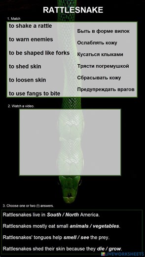 Rattlesnake worksheet
