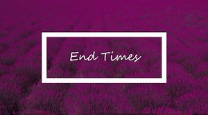 1.2K views | End Times – We begin a new informative video series from Quick Bible Facts. View more videos at https://teleiosresearch.com/teleios-u/. | Teleios, Inc. | Facebook