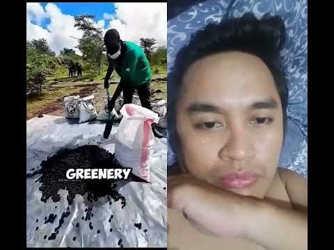 Amazing Tree Planting Hack Using Charcoal! #plants