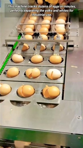 Automatic Egg Cracking Machine.