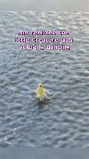 Little Bug Dancing Moves😆