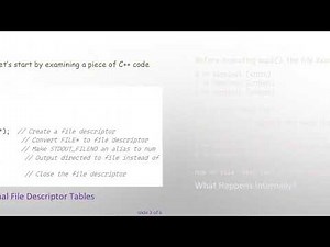 Understanding the dup2() Function: Changing Stream Ends in C+ +