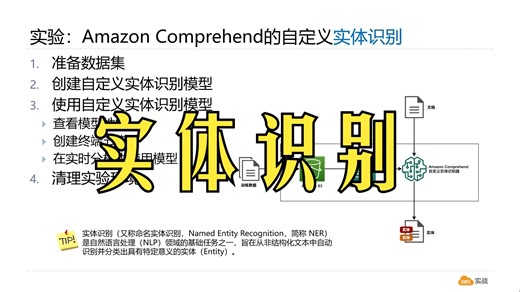 实验秀：Amazon Comprehend的自定义实体识别