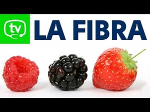 Las propiedades de la fibra