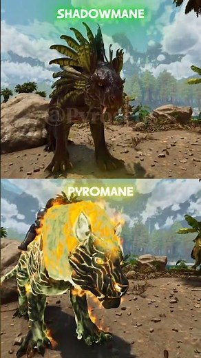 PYROMANE VS SHADOWMANE