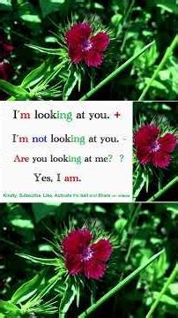 12 Are you Eating? Are you Studying? Present Continuous Questions Explained #english