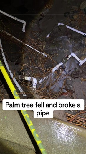 Hurricane Marie 2.0 damage — palm tree fell and broke a pipe