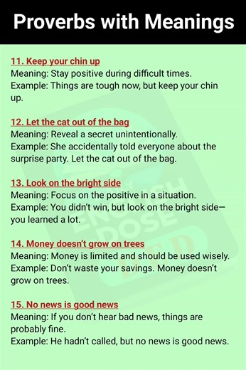 1.7K views · 25 reactions | Most Useful English Proverbs and Their Meanings with Examples #fblifestyle #English #proverbs #learnenglish #dailyenglish | Daily English Dose | Facebook