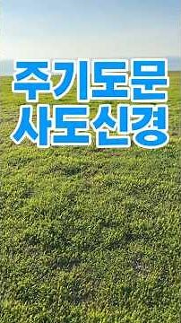 주기도문.사도신경