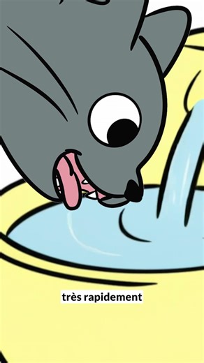 Did you know that? 😽💦🫗 This is how a cat drinks! #cat #caats