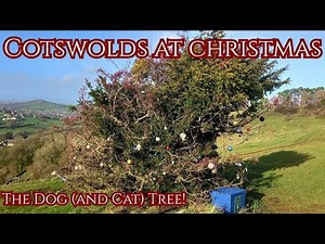 THE COTSWOLDS AT CHRISTMAS | VLOGMAS 2: The Dog (And Cat) Festive Tree, Rodborough, England