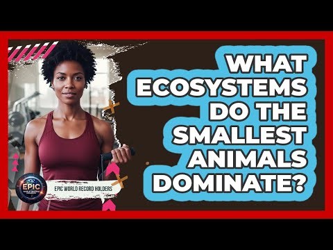 What Ecosystems Do The Smallest Animals Dominate? - Epic World Record Holders