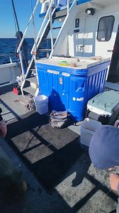 COD TIME! | Ocean Explorer