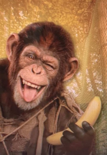 Bro💔💔 Mr latti hate is tolerated💓