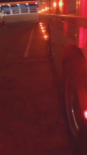 From Bridgerton vibes to bull hauler life—watch this Peterbilt in action on the cattle run! #Bridgerton #MyHaul #Cattle #TruckerTikTok #BullHauler #TruckTok #FYP #Peterbilt #BullHaulerMafia #CattleHauler #Wheelbase | The Minnesota Bullhauler