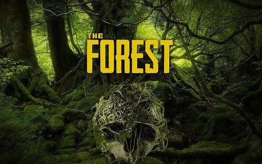 森林The forest 如何作弊