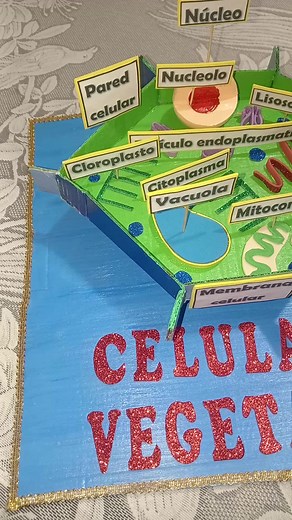 Maqueta de célula animal y vegetal con material reciclable