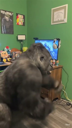 NEW SETUP UPDATE. #viral #fy #fypシ #fypシ゚viral #fyp #jee #setup #gaming