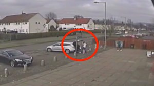 25K views · 814 reactions | Chills on Reels | Facebook