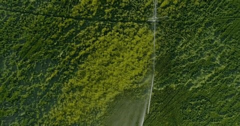 clip-3997261313-aerial-view-forest-digital-data-processing-animation