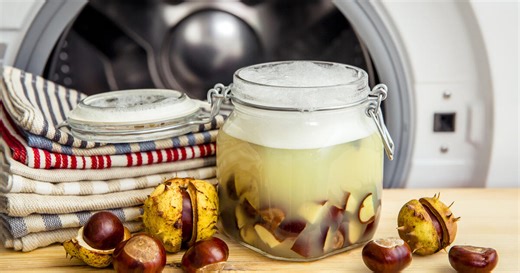 Kastanien als Waschmittel: So machen Sie es selbst