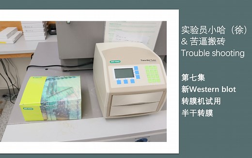 实验员小哈（徐）&苦逼搬砖日常 - 第七集 - 新Western blot转膜机试用｜半干转膜
