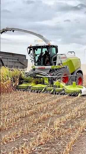 CLAAS CHOPPER ACTION #silage