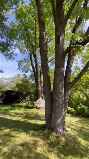 1601 Apeldoorn Avenue