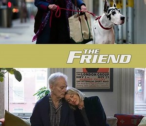 The Friend Summary, Trailer, Cast, Where to Watch and More