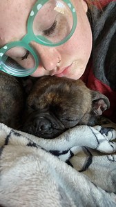 Pupdate 🧡 Frances the Frenchie (now Toki!) Rescued from Orange County, CA in 2023. Frances didn’t choose the years of neglect, the exploitation, or the suffering. Used for breeding and kept in horrific conditions, she and five other dogs were confiscated by authorities who were so concerned, they ordered full-body x-rays for every single one. By the time she was rescued, Frances had lost almost all her fur to severe, untreated mange - the result of years of immune system breakdown and neglect. 