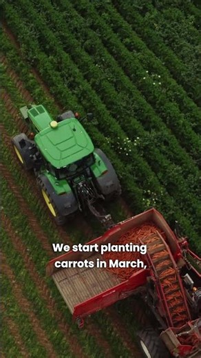 The delicious French carrot 🥕| Meet The Makers