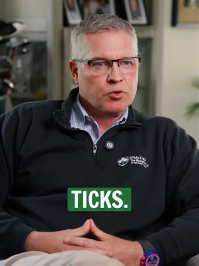 Do Ticks Survive Winter? Truth About Tick Survival